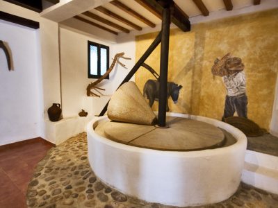 Oleoturismo en Sevilla