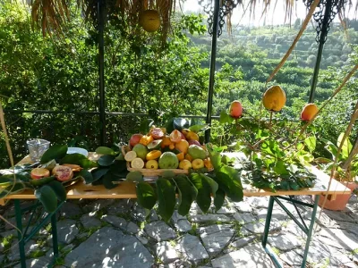 Agroturismo en la Costa Tropical