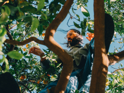 Finca tropical en Los Guájares